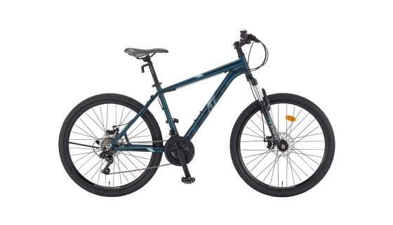 stinger mountain bike price